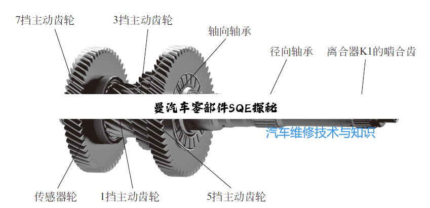 今日科普|曼汽车零部件SQE探秘